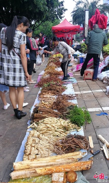 b体育：浅析药膳养生文化——以普洱“百草根”文化美食节为例(图7)