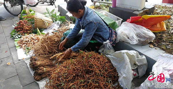 b体育：浅析药膳养生文化——以普洱“百草根”文化美食节为例(图8)