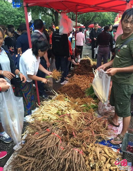 b体育：浅析药膳养生文化——以普洱“百草根”文化美食节为例(图10)